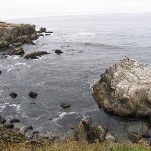 2005 north coast campout