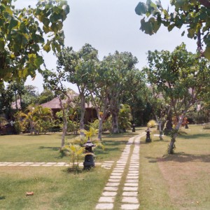 Taman Sari Resort, Pemuteran, Bali