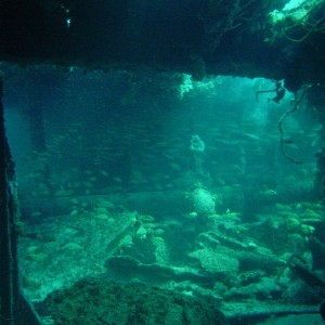 Inside the Bimini Barge
