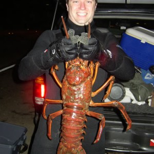 9 pound lobster