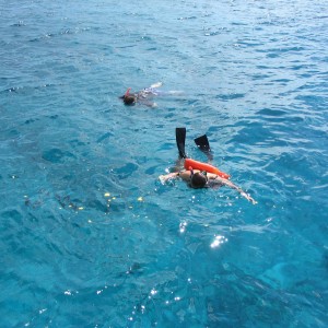 Provo snorkeling