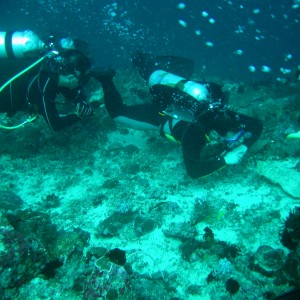 new_year_dive_05_037
