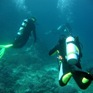 new_year_dive_05_041