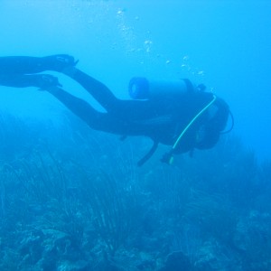 Diver over reef