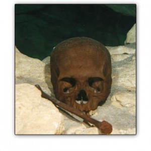 Skull and bone