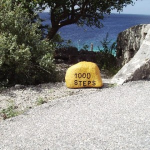 Bonaire: 1000 Steps