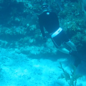 Freediving Staniel Cay