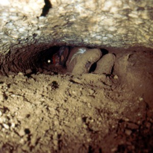 New Mexico stream cave