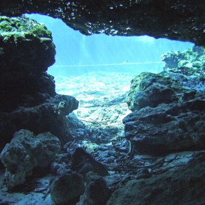 My dive at Ginnie Springs (Cave entrance)