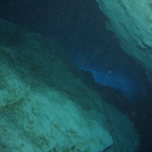 Blue Grotto - Williston Florida