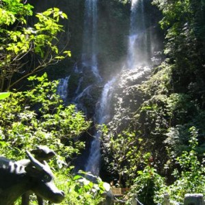 tamaraw falls