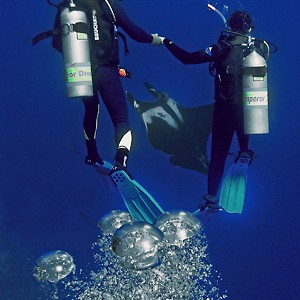 manta and divers