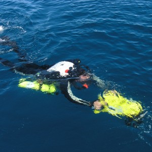 CCR Rebreather- Dolphin , Doing deep wreck