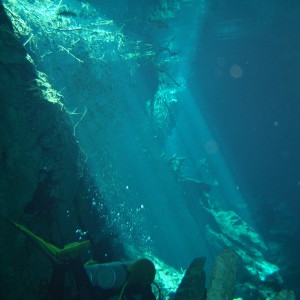 Cenote' Diving
