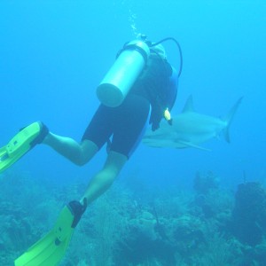 me and a grey tip reef shark - roatan