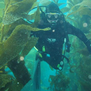 Diving in a Kelp Forest