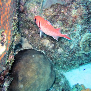 Bonaire 2005