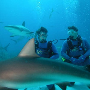 2004 April - Nassau shark dive