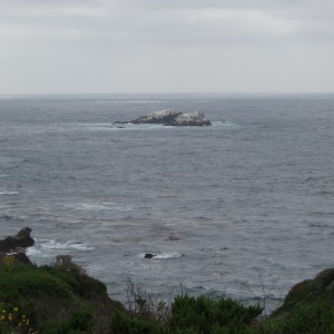 Lobos Rocks (looking from Moby Ling Cove)