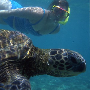 Snorkeler with Turtle