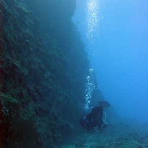 Maui Diving Dec 2006