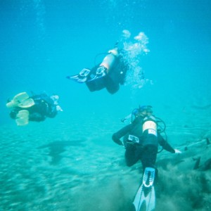 Divers at Morrison Springs, florida