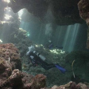 Roatan cave dive