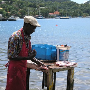 Cleaning_fish_in_Bequia_edited-1