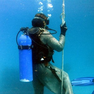 Chainmailed Diver