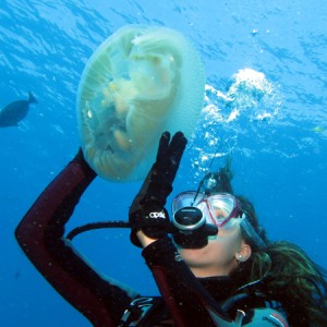 Diver with a jellyfish