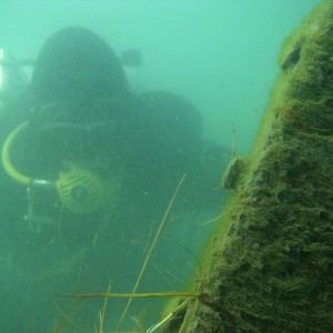 Diver on the Badger State