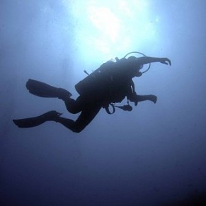 Taha'a Diver