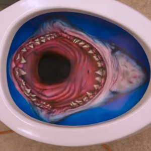 Shark Toilet - Beware!