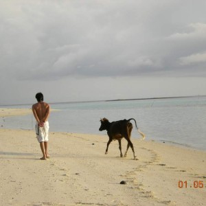 Mantanani Besar Island 2007
