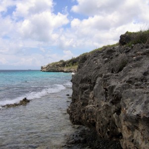 Bonaire 07
