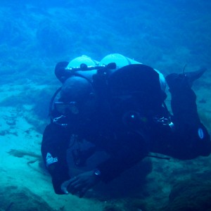 Manatee Springs Diving