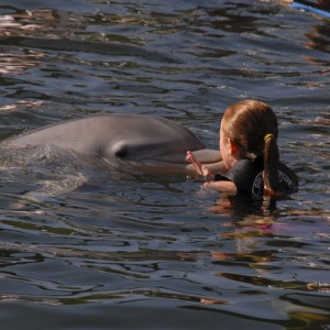 Sarah and Dolphin