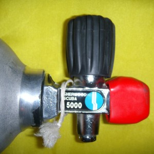 Sherwood valve