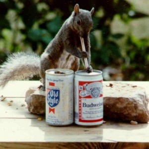 BeerSquirrel
