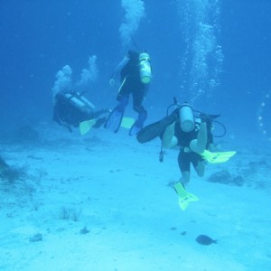 Divers Group