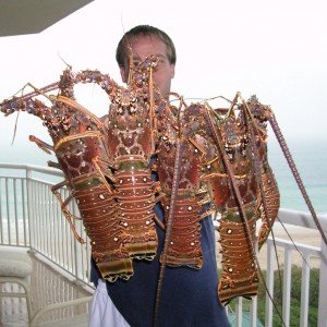 lobsterbunch