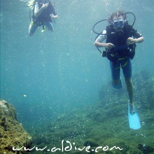 diving in Dominica