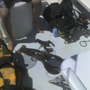 Lobstering off Cape