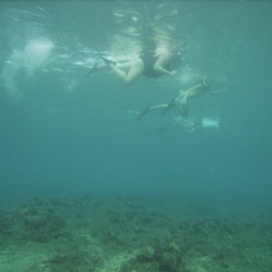 hawaii_underwater_087