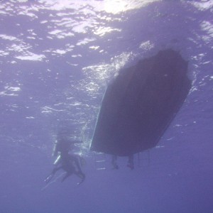 hawaii_underwater_226