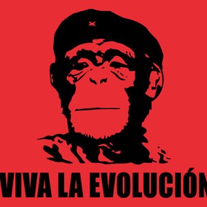 bt-vivalaevolucion