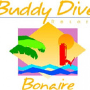 www.buddydive.com