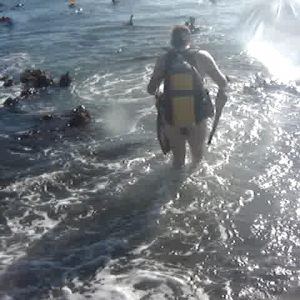 Entering the water