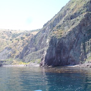 Diving Catalina