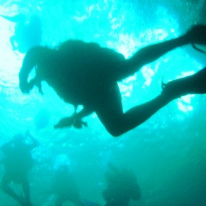 Diver surfacing at Ginnie Springs